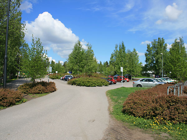 Solbonkatua